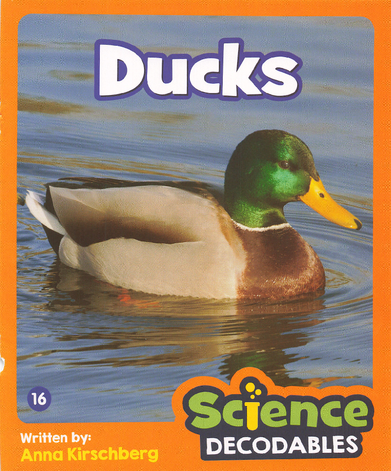 Ducks