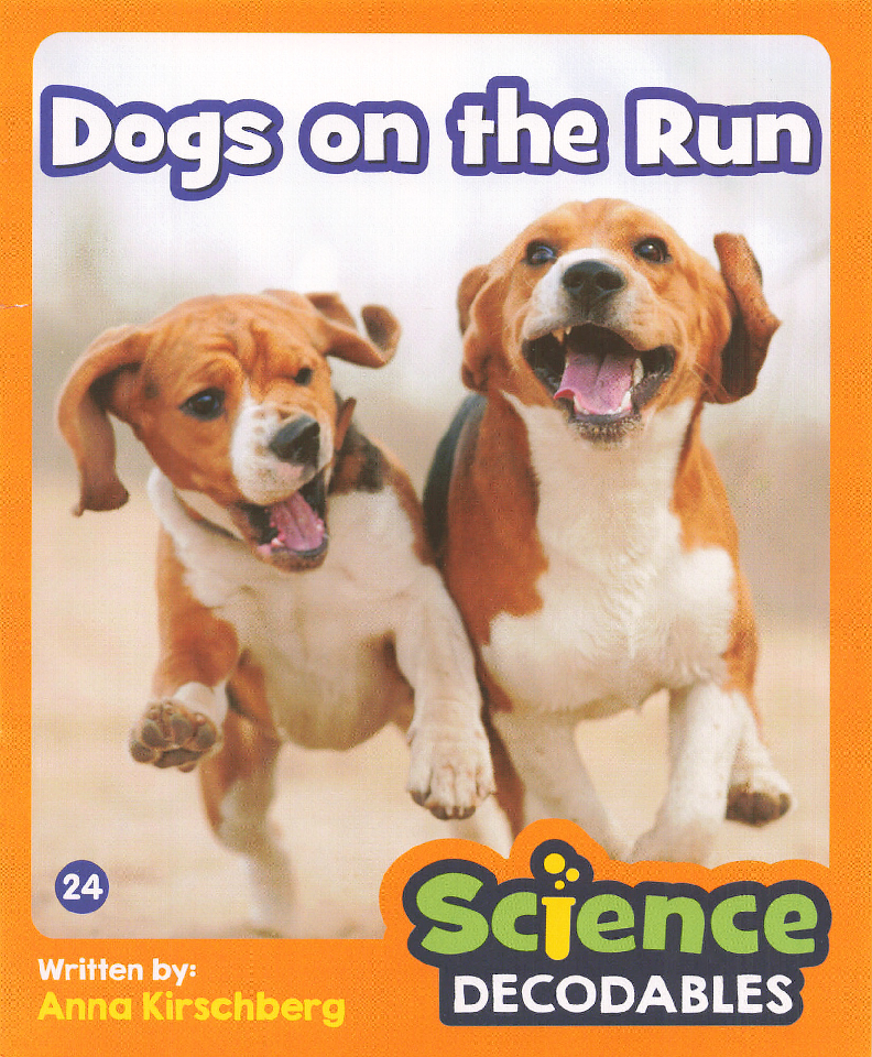 Dogs on the Run