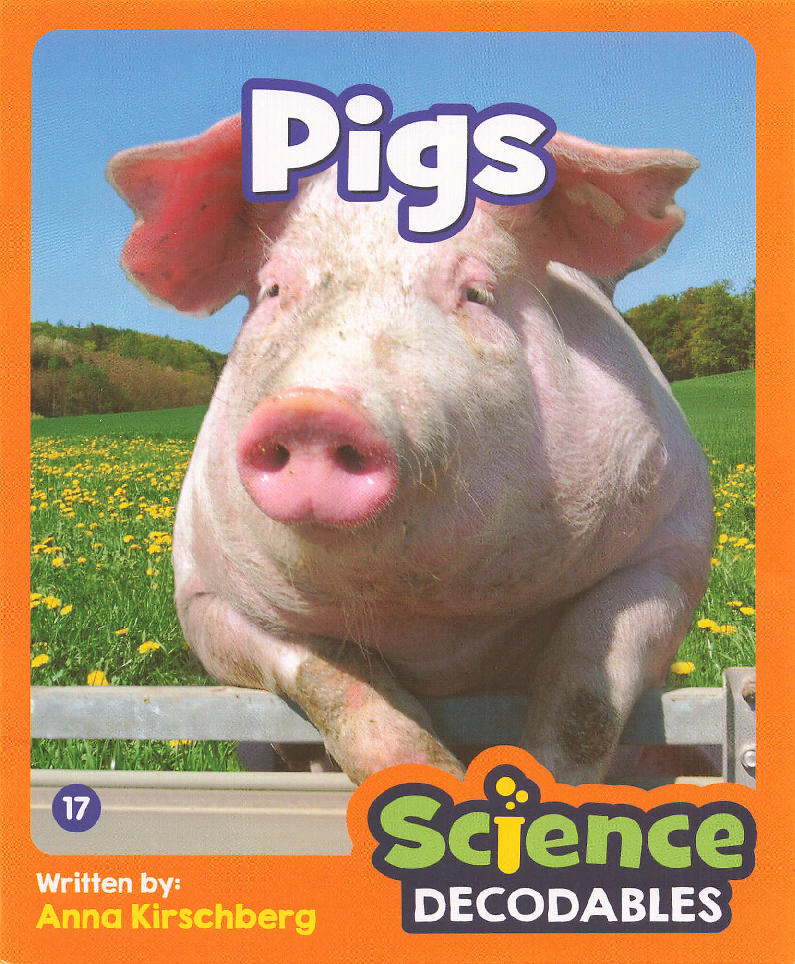 Pigs