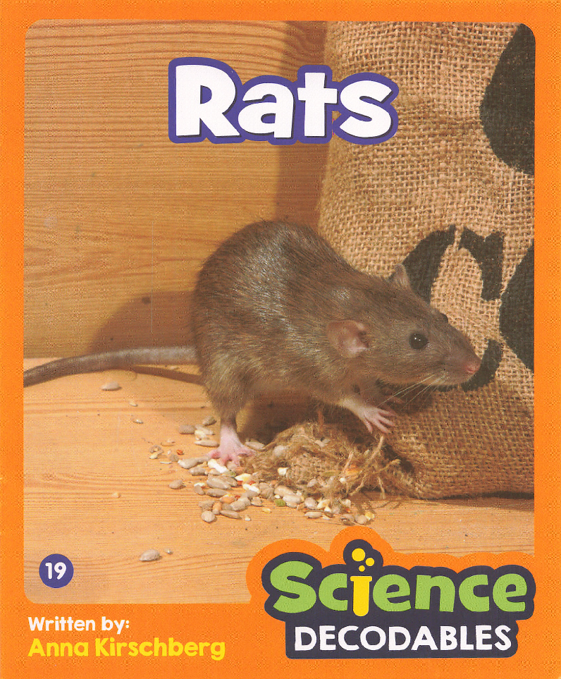 Rats