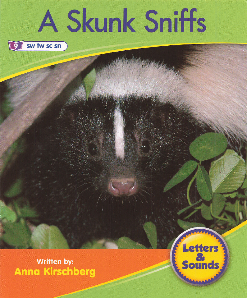 A Skunk Sniffs