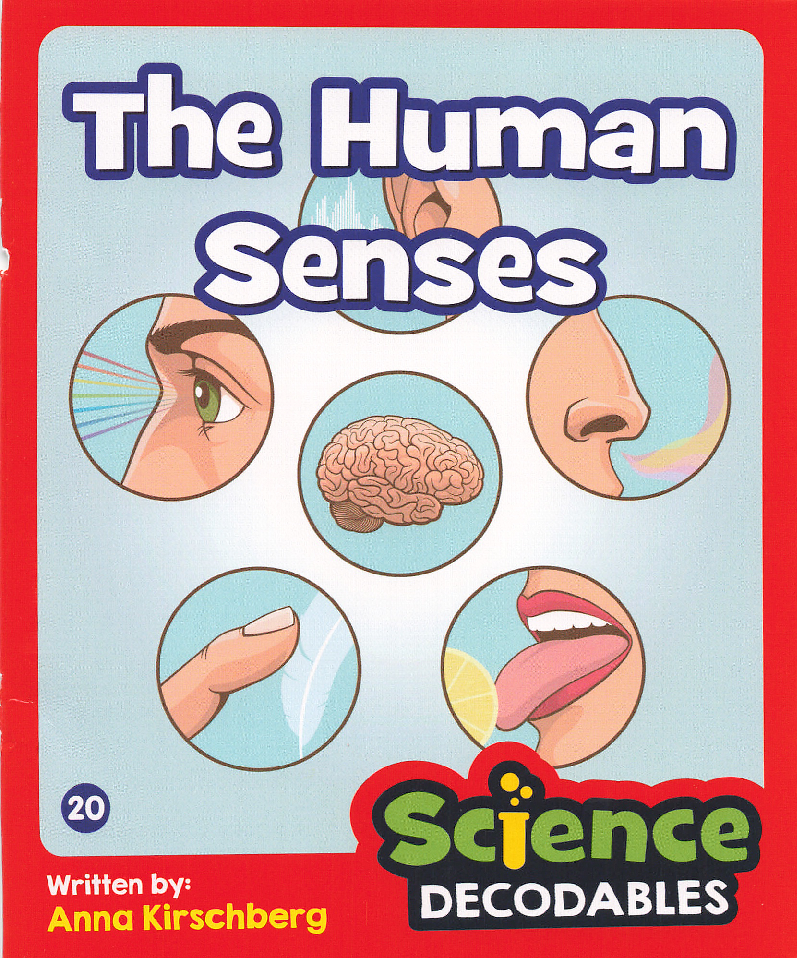 The Human Senses