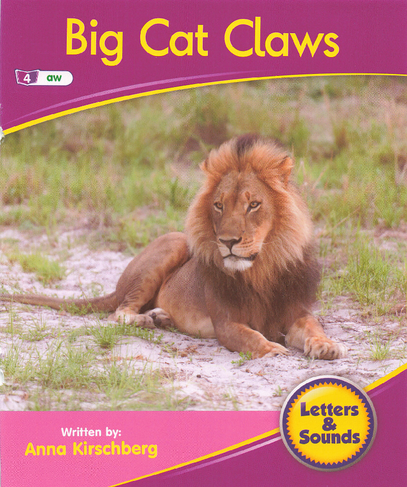 Big Cats Claws