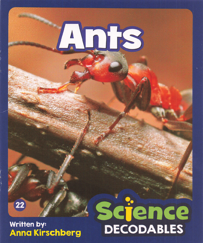Ants