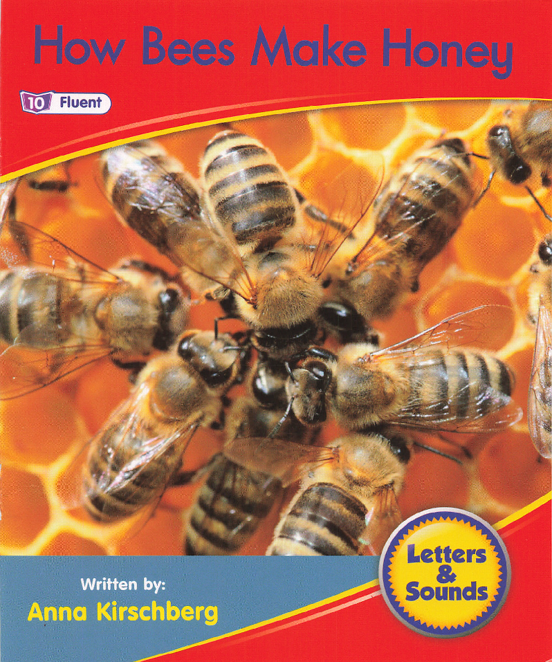 How Bees Make Honey