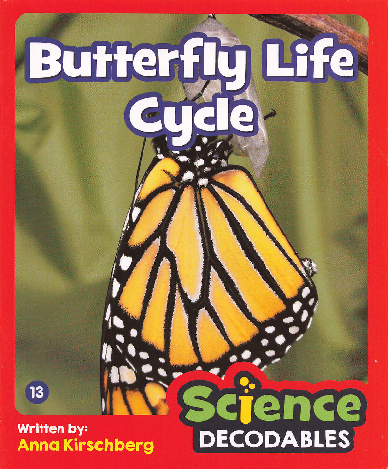 Butterfly Life Cycle