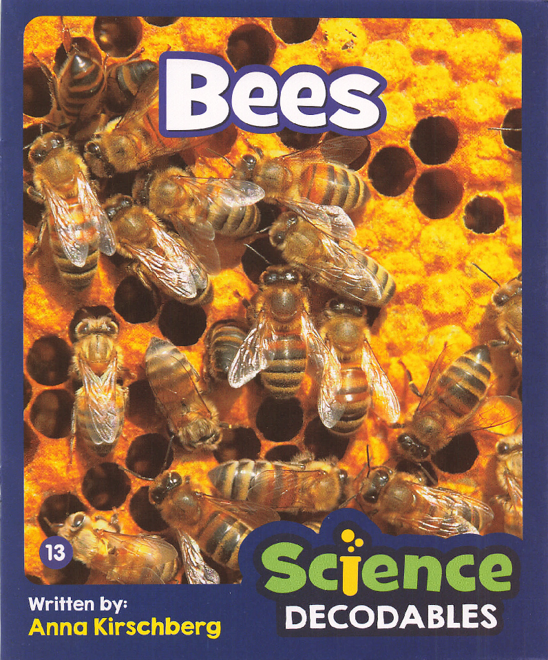 Bees