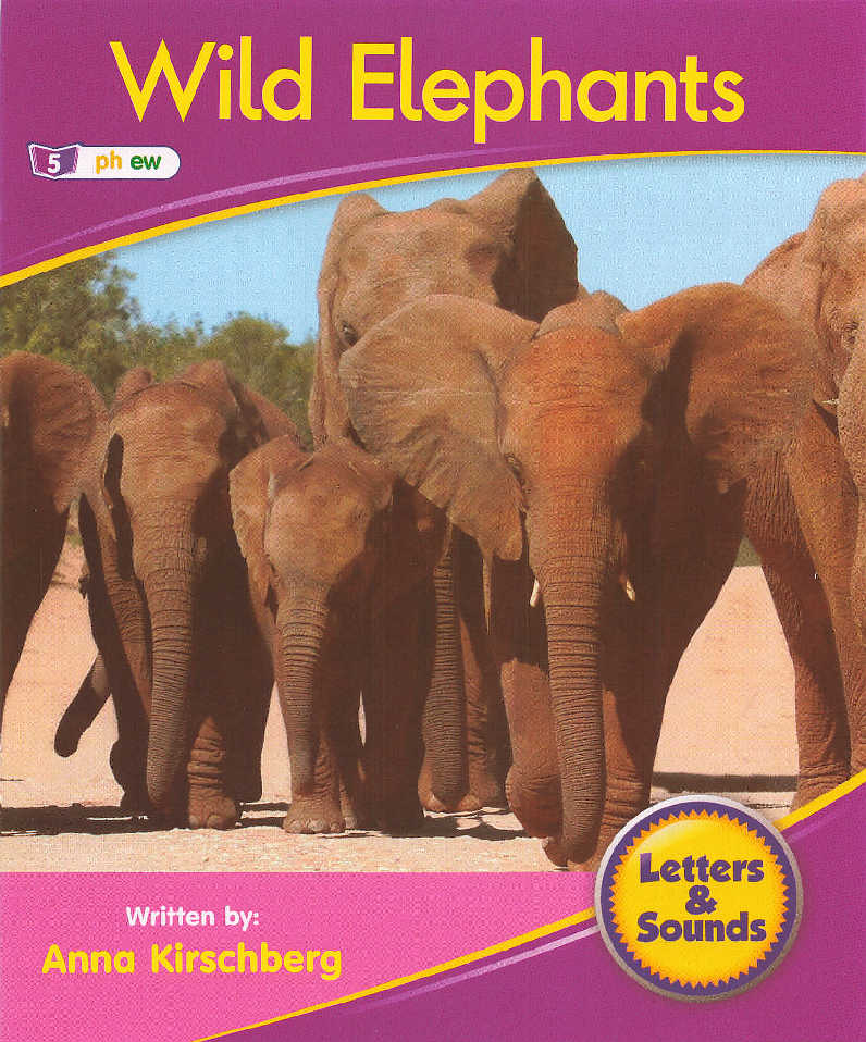 Wild Elephants