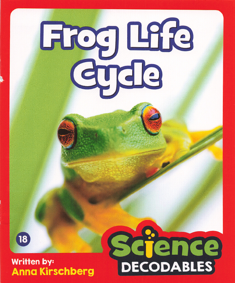 Frog Life Cycle