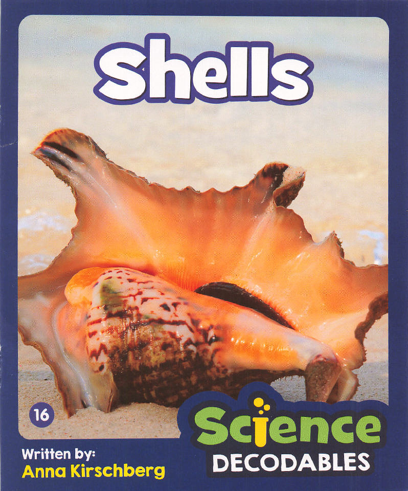 Shells