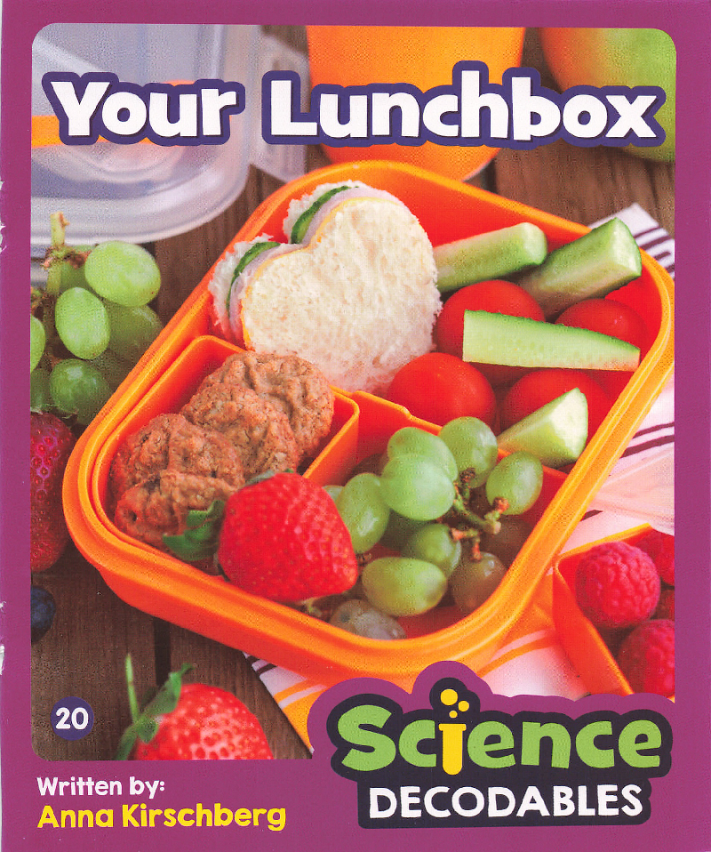 Your Lunchbox