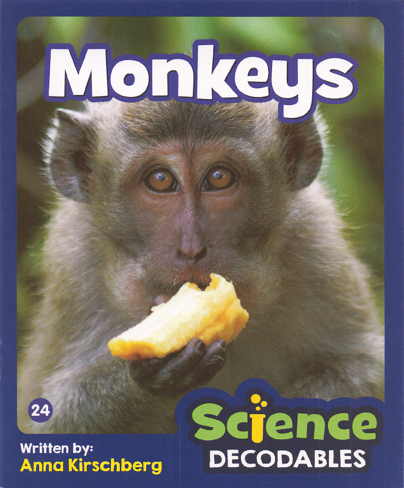 Monkeys