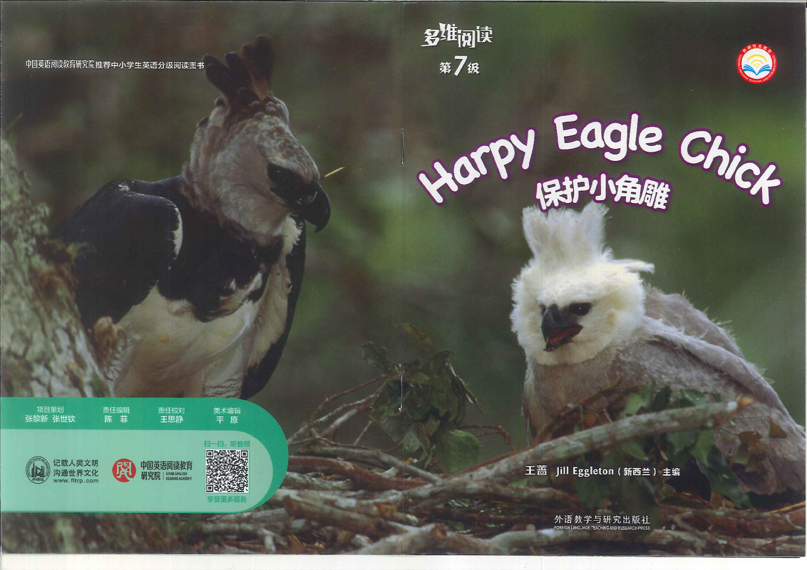 12保护小角雕 Harpy Eagle Chick