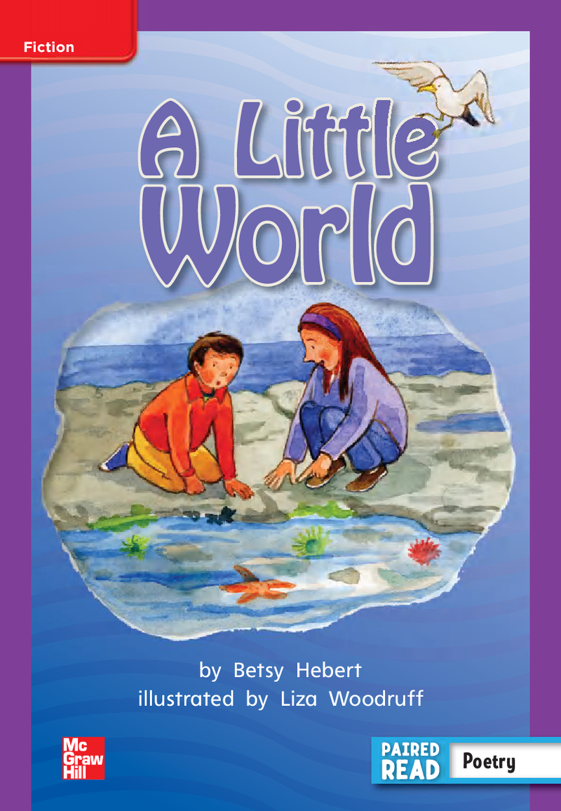 U4W5 A Little Word