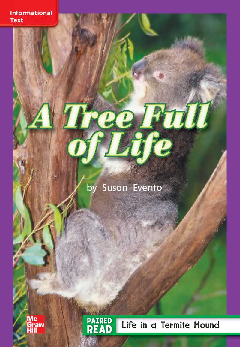 U2W3 A Tree Full of Life