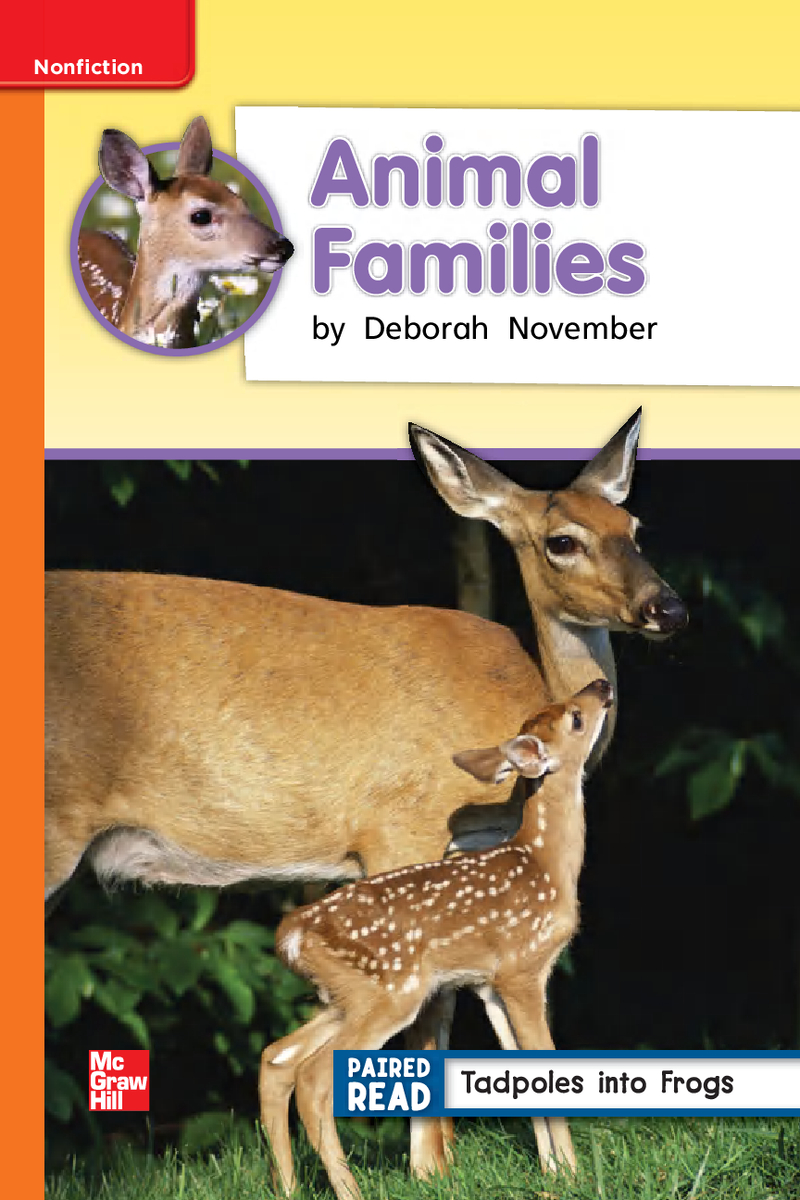 U2W4 Animal Families