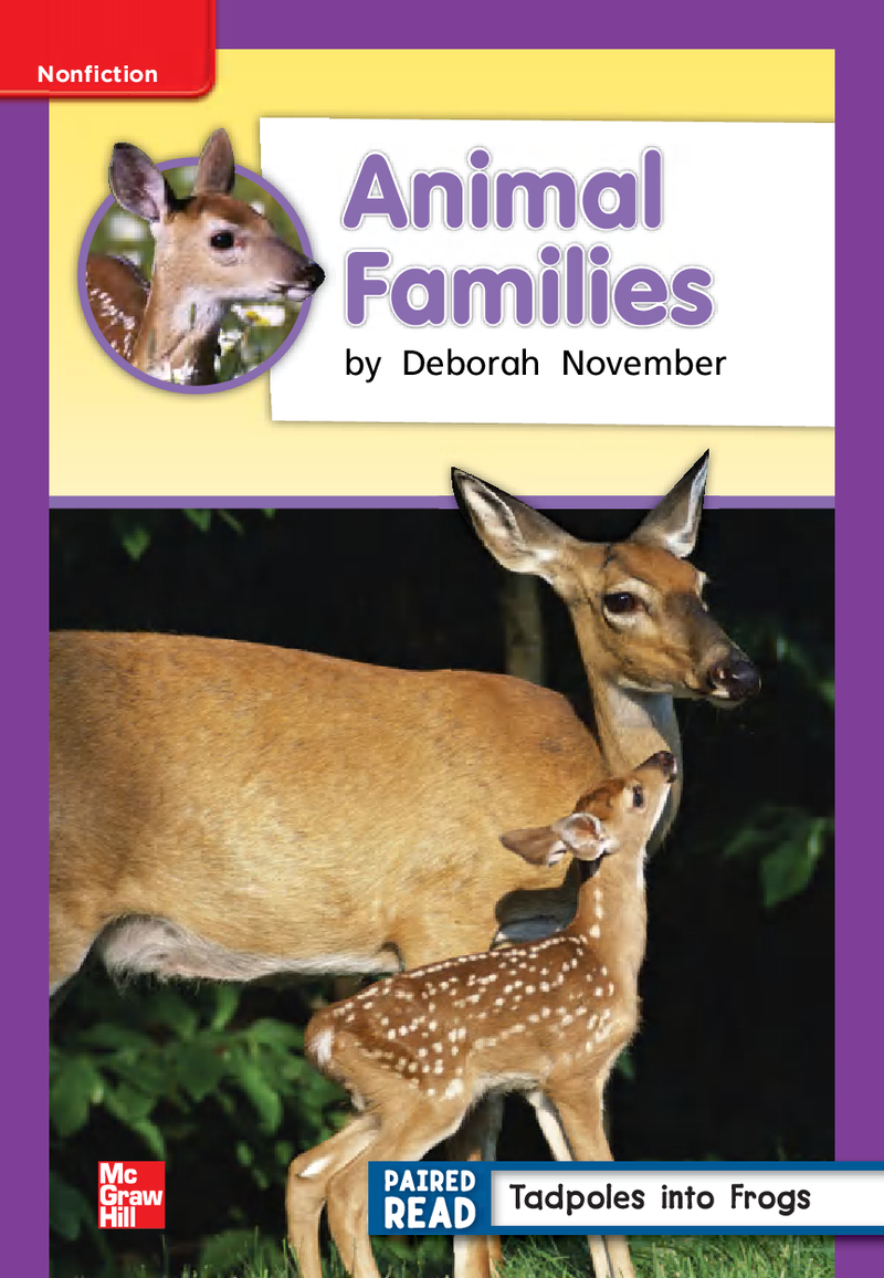U2W4 Animal Families