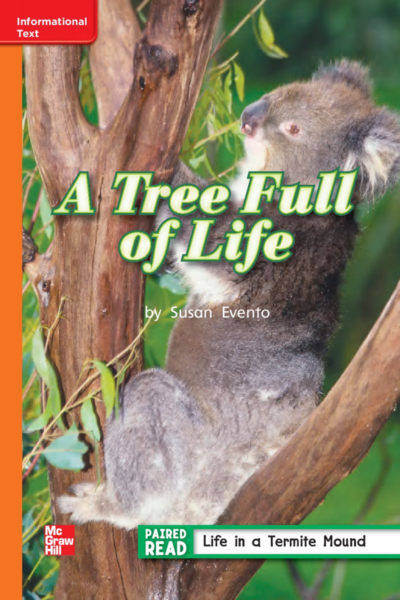 U2W3 A Tree Full of Life