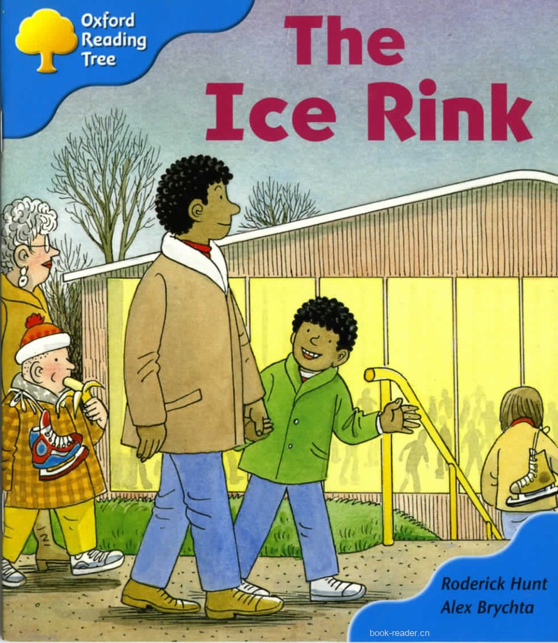 The Ice Rink