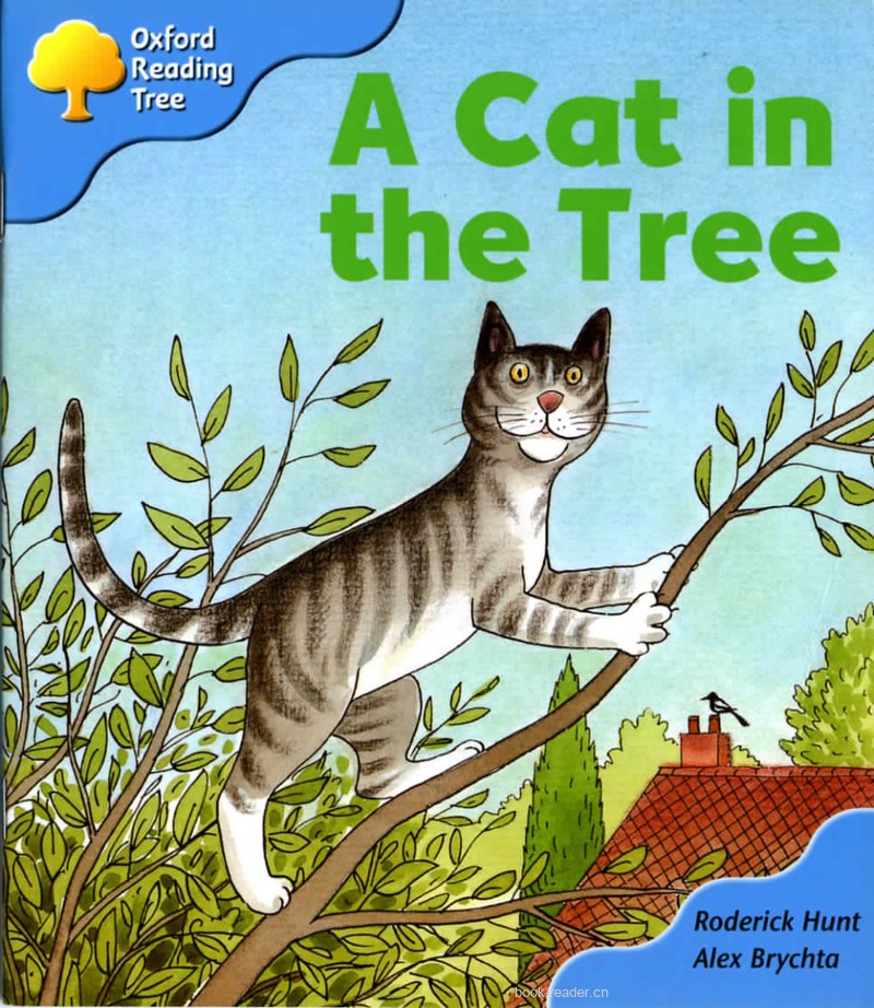 A Cat in the Tree