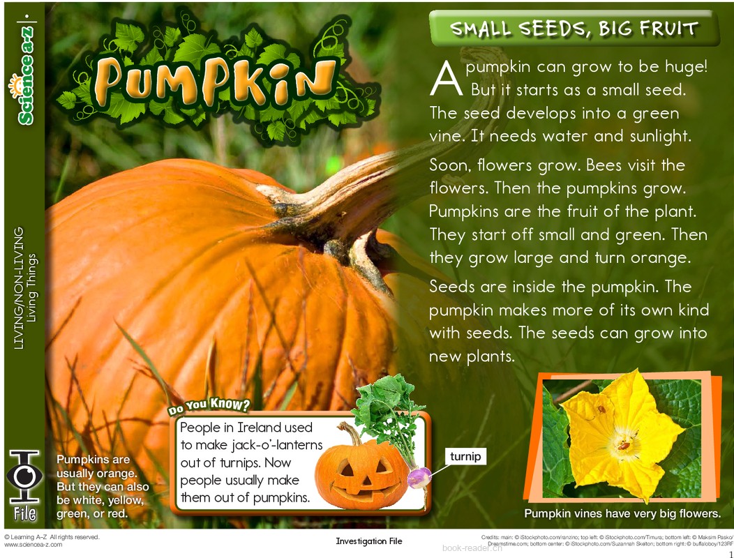 1.2.1-low-K-2-IFiles-[livingnonliving]-Pumpkin