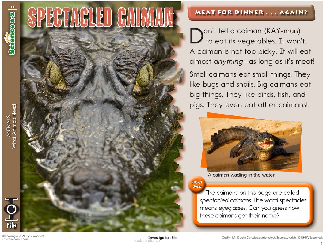 1.1.5-mid-K-2-IFiles-[animals]Spectacled Caimans