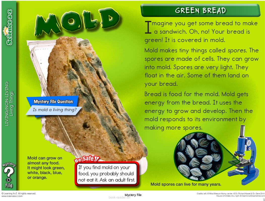 1.2.5-Mystery File-K-2-IFiles-[livingnonliving]-Mold
