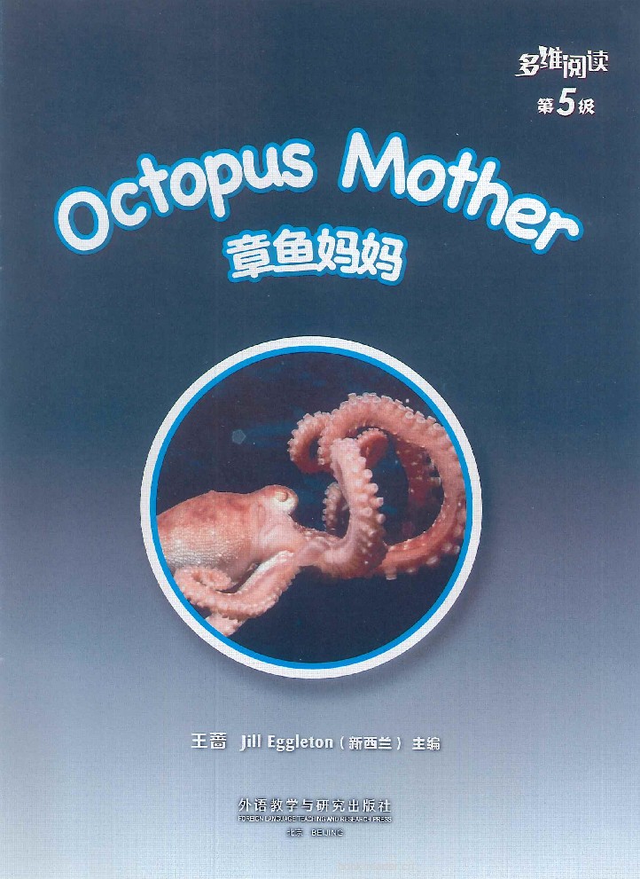 第5级 封面
