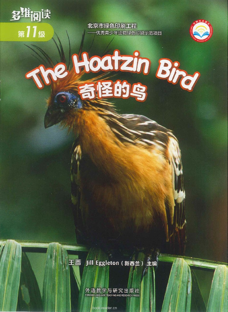 The Hoatzin Bird