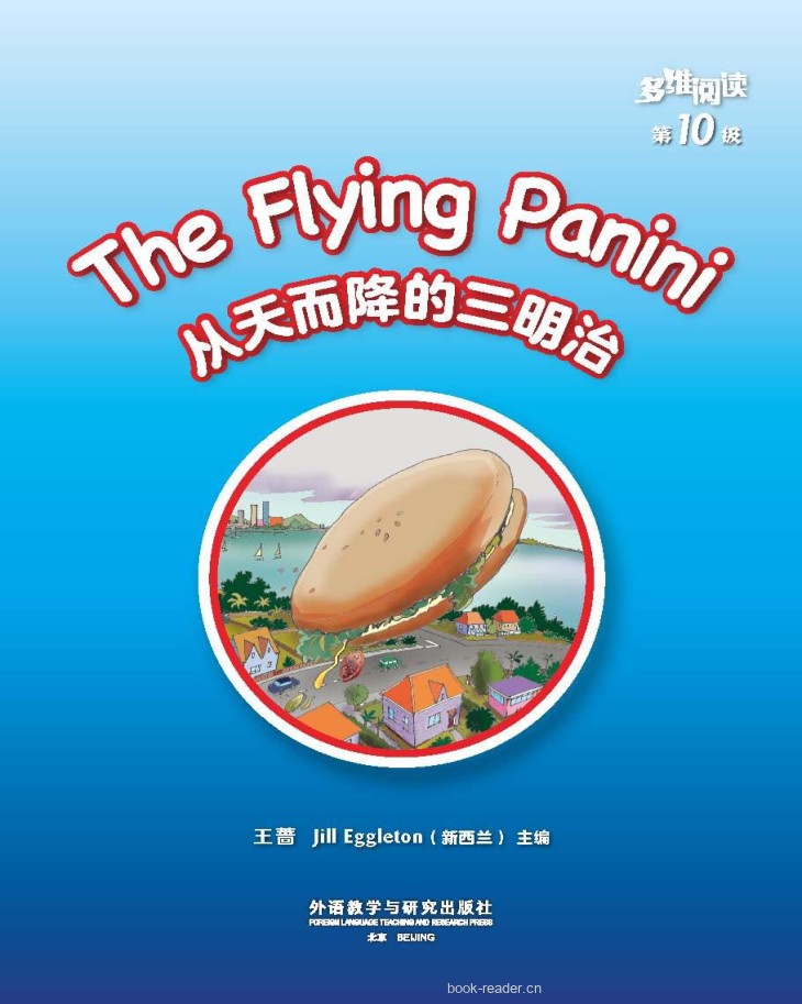 The Flying Panini
