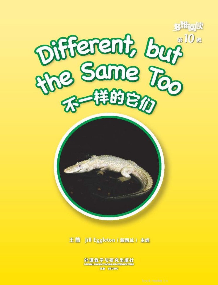 第10级 封面