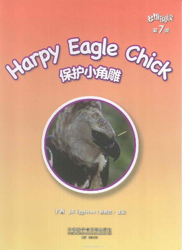 Harpy Eagle Chick