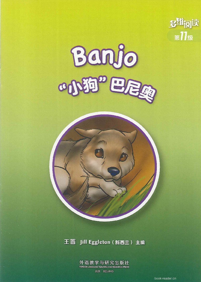 Banjo