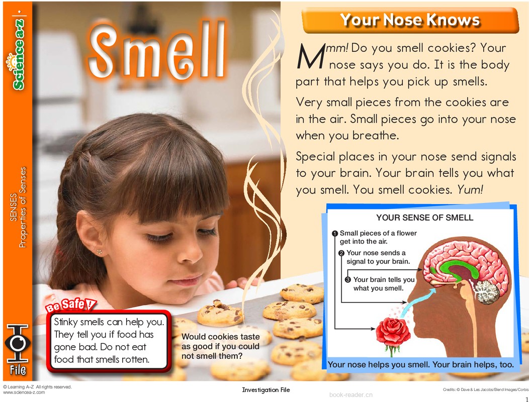 1.4.1-low-K-2-IFiles-[senses]-Smell