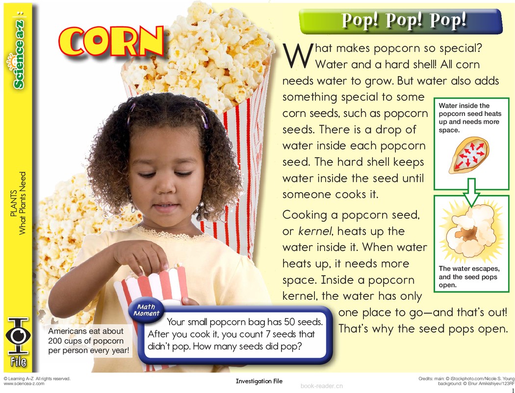 1.3.2-mid-K-2-IFiles-[plants]-Corn