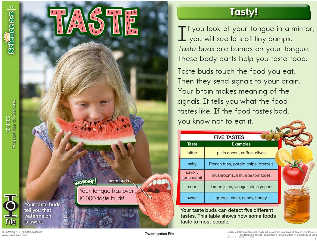 1.4.3-mid-K-2-IFiles-[senses]-Taste