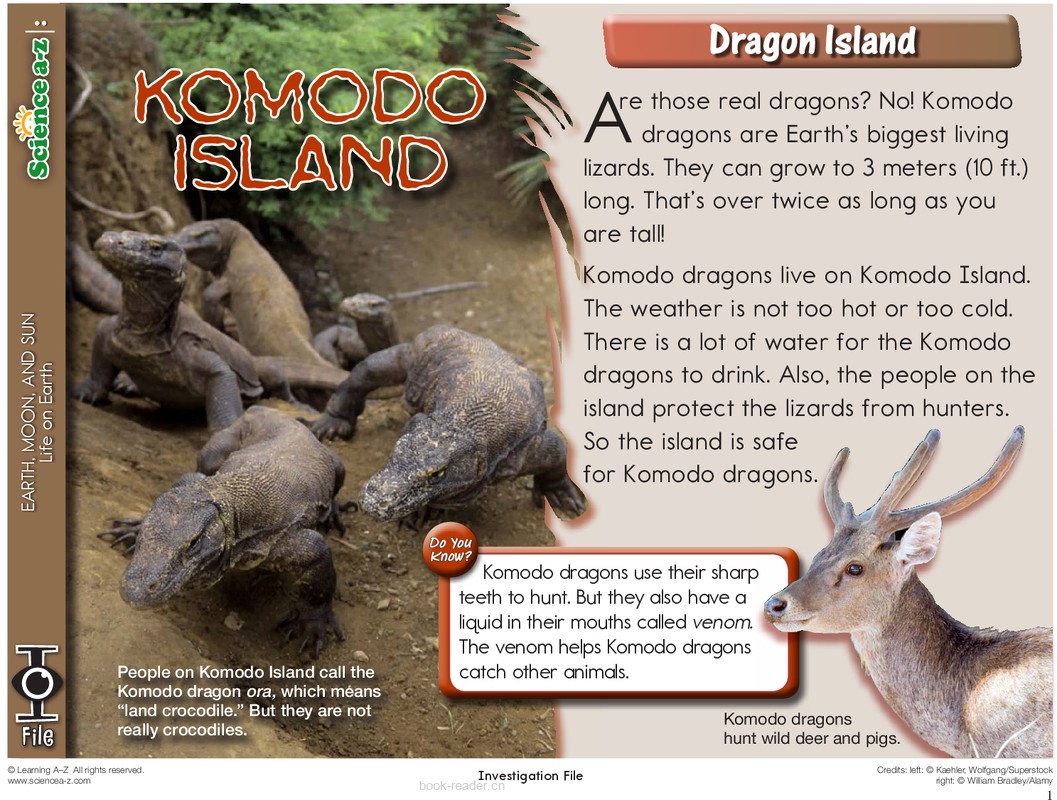 2.1.4-mid-K-2-IFiles-[earth]-Komodo Island