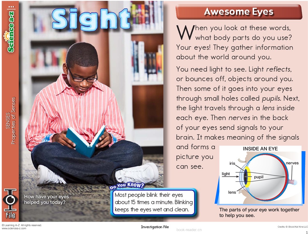 1.4.4-high-K-2-IFiles-[senses]-Sight