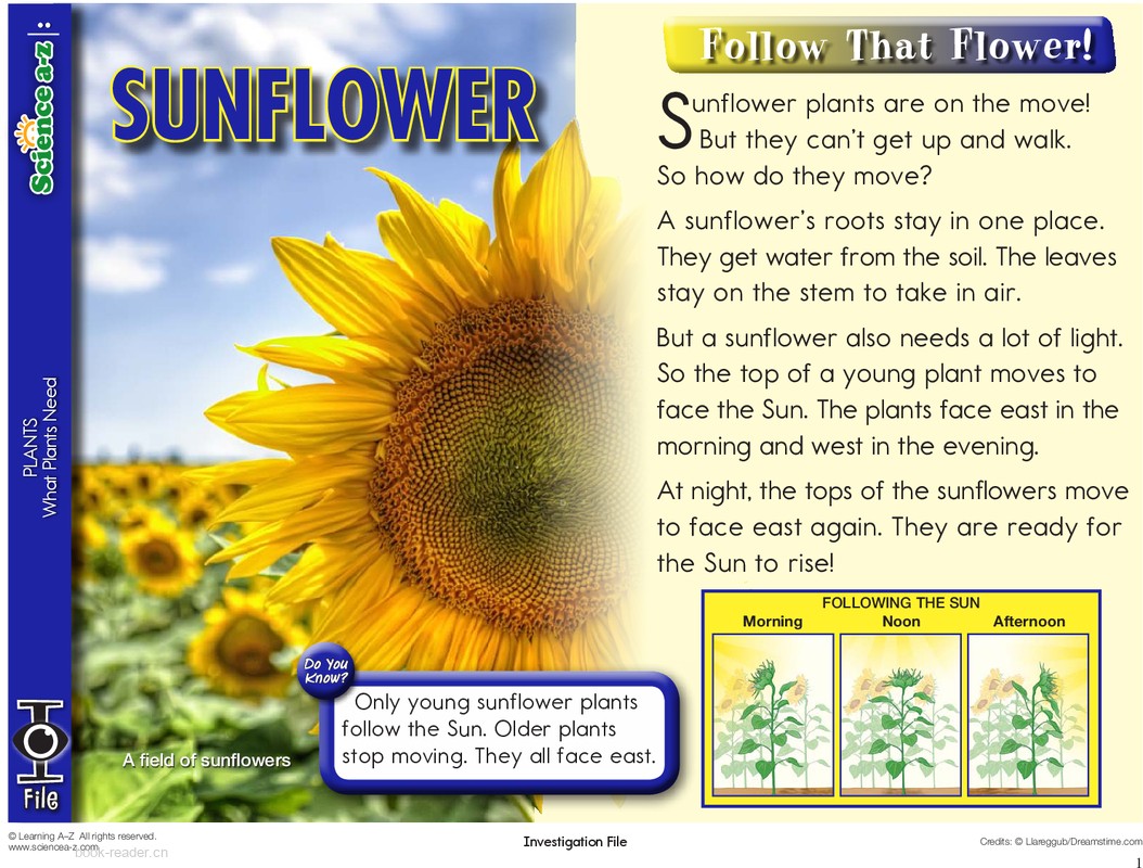 1.3.5-mid-K-2-IFiles-[plants]-Sunflower