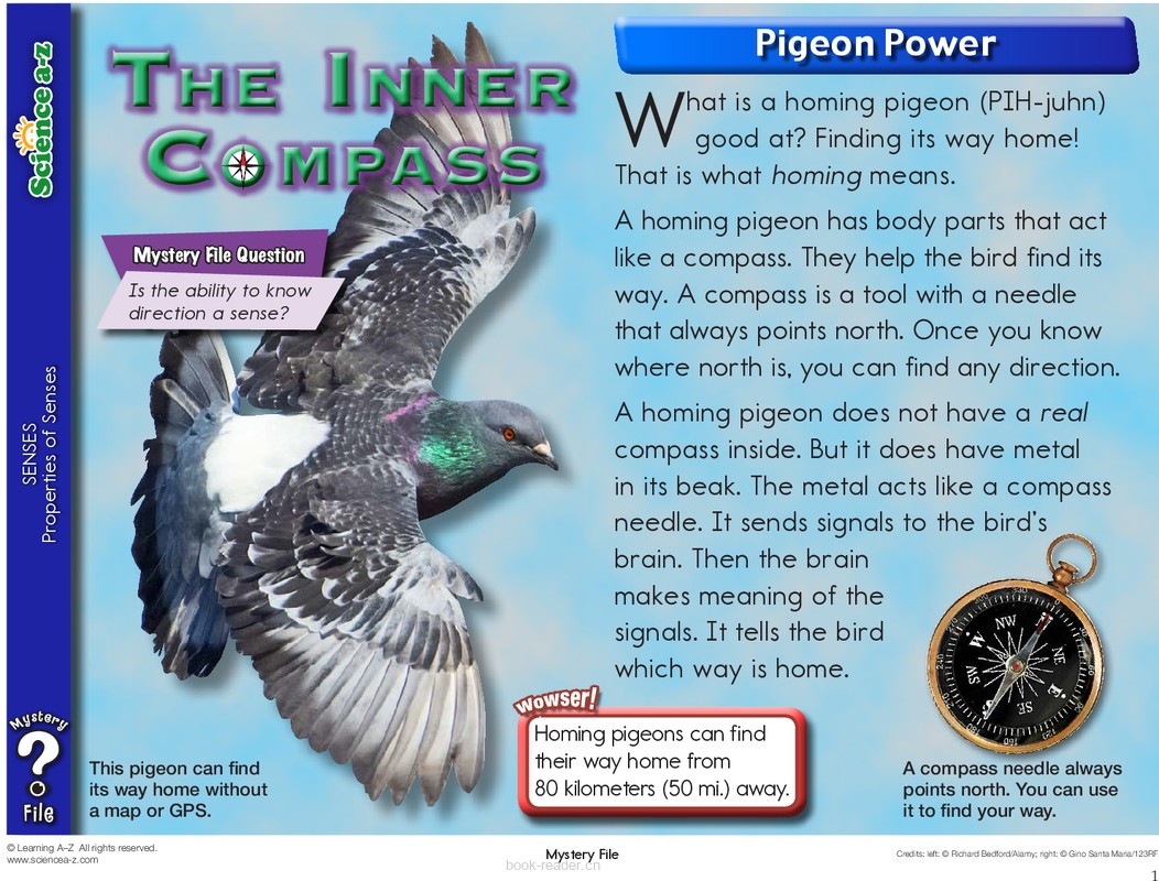 1.4.5-Mystery File-K-2-IFiles-[senses]-The Inner Compass