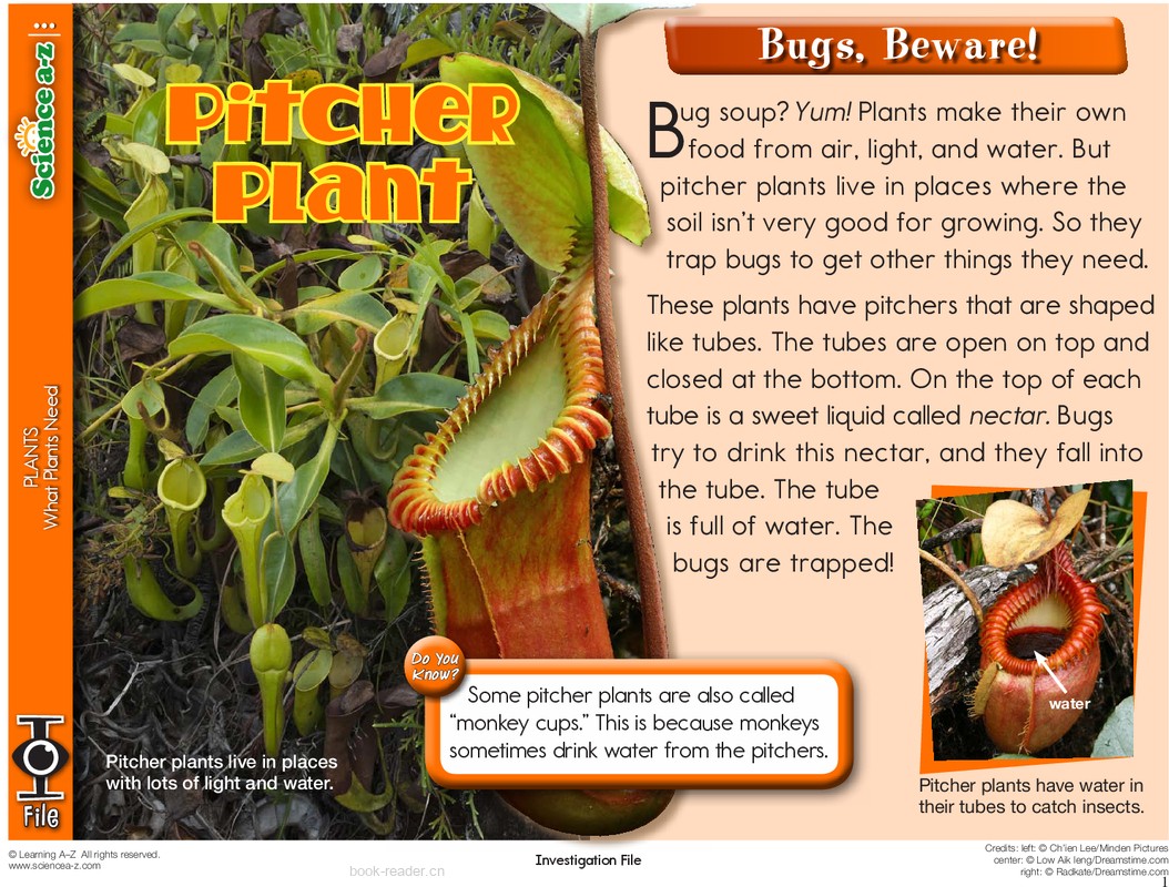 1.3.6-high-K-2-IFiles-[plants]-Pitcher Plants