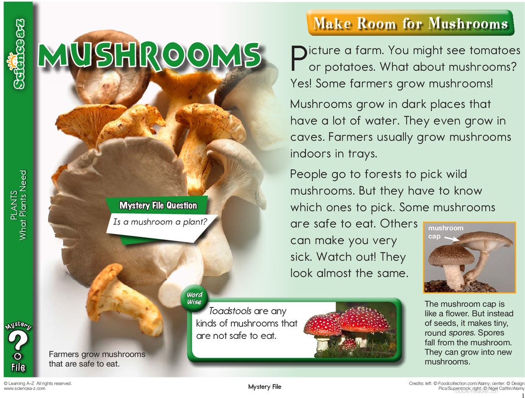 1.3.7-Mystery File-K-2-IFiles-[plants]-Mushrooms