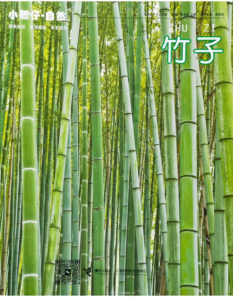竹子