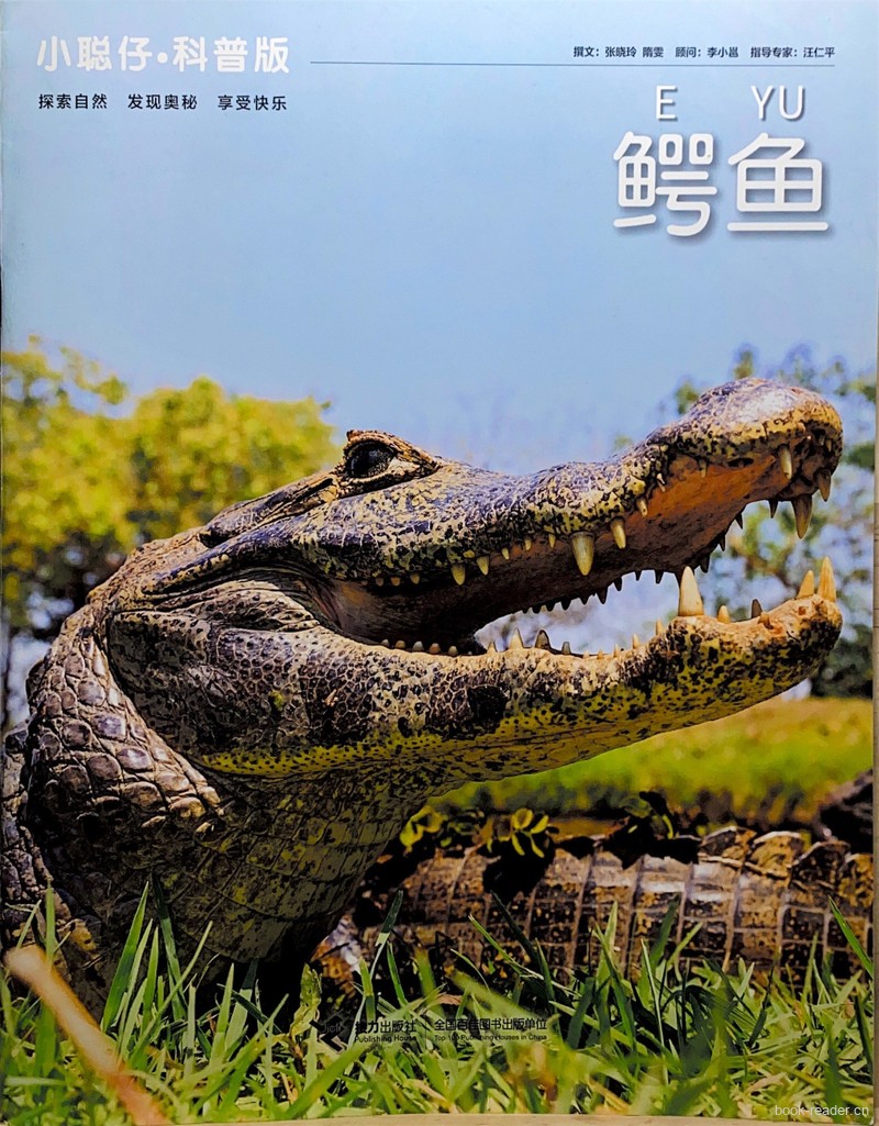 鳄鱼