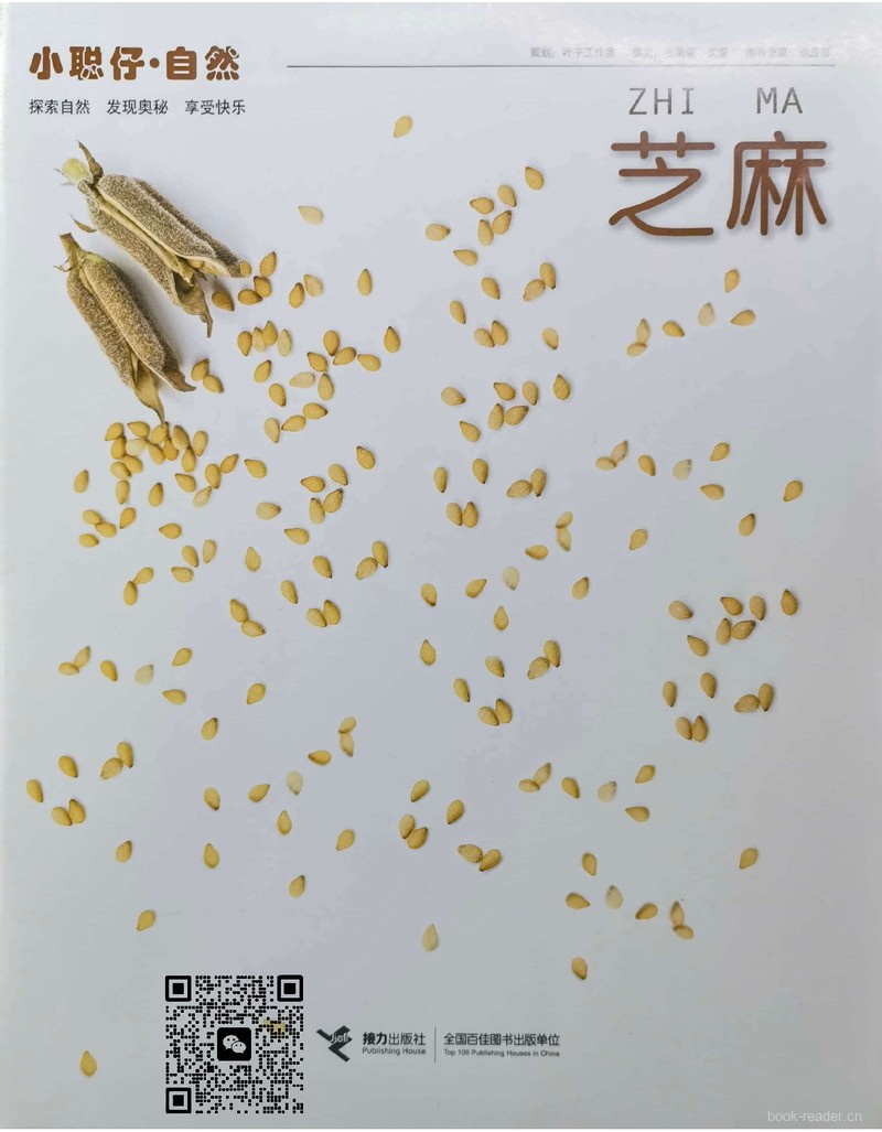 芝麻