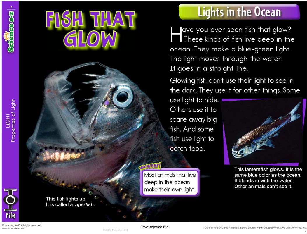 3.3.1-low-K-2-IFiles-[lighting]-Fish that glow