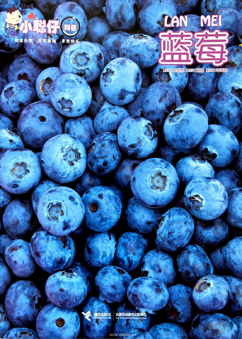 蓝莓