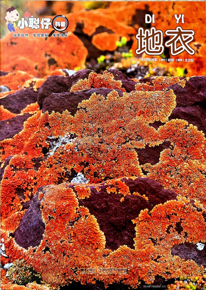 地衣