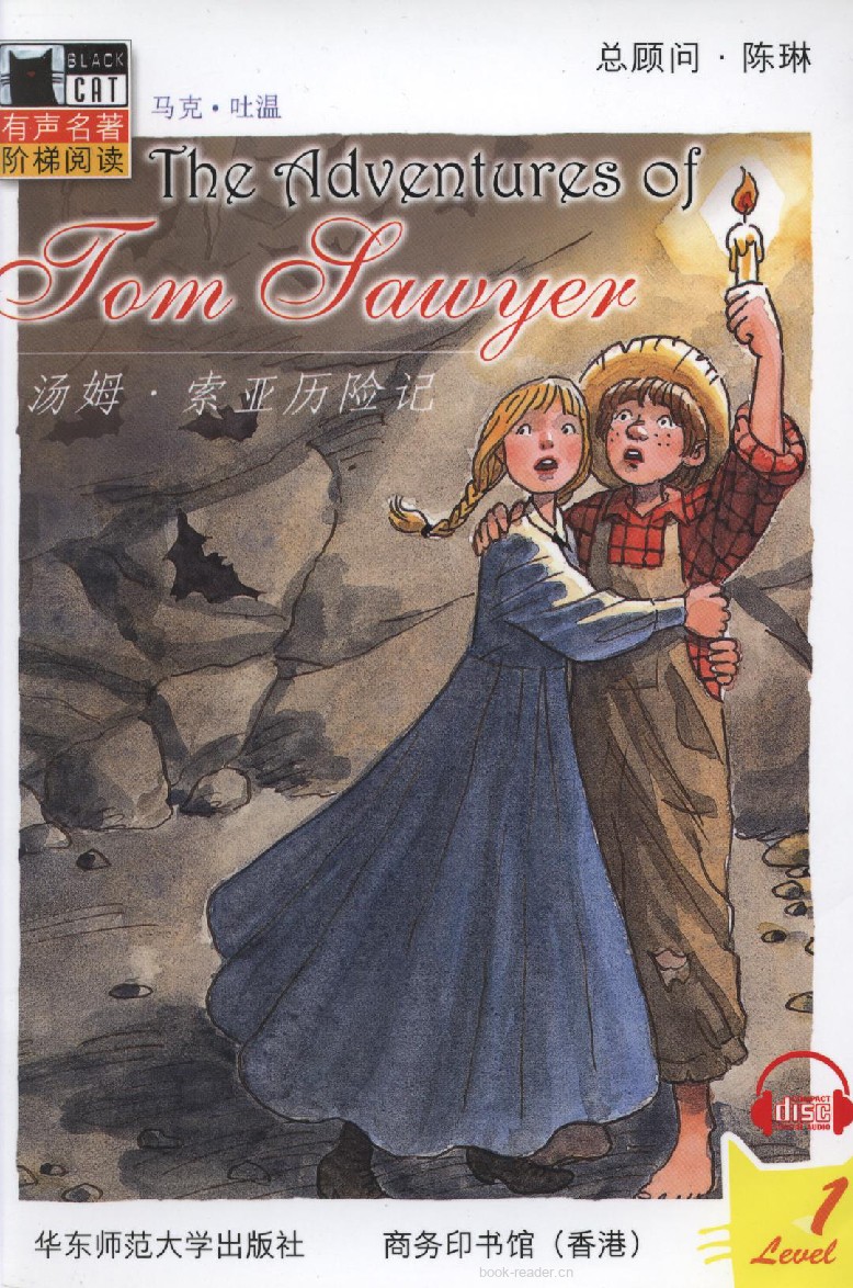 汤姆. 索亚历险记