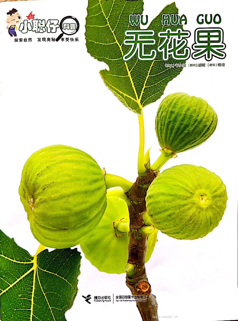 无花果